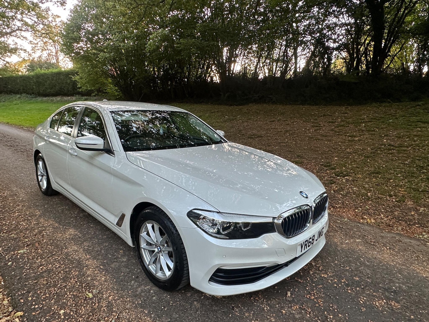 Used BMW 5 Series 2018 for sale - 76608323: Photo 6