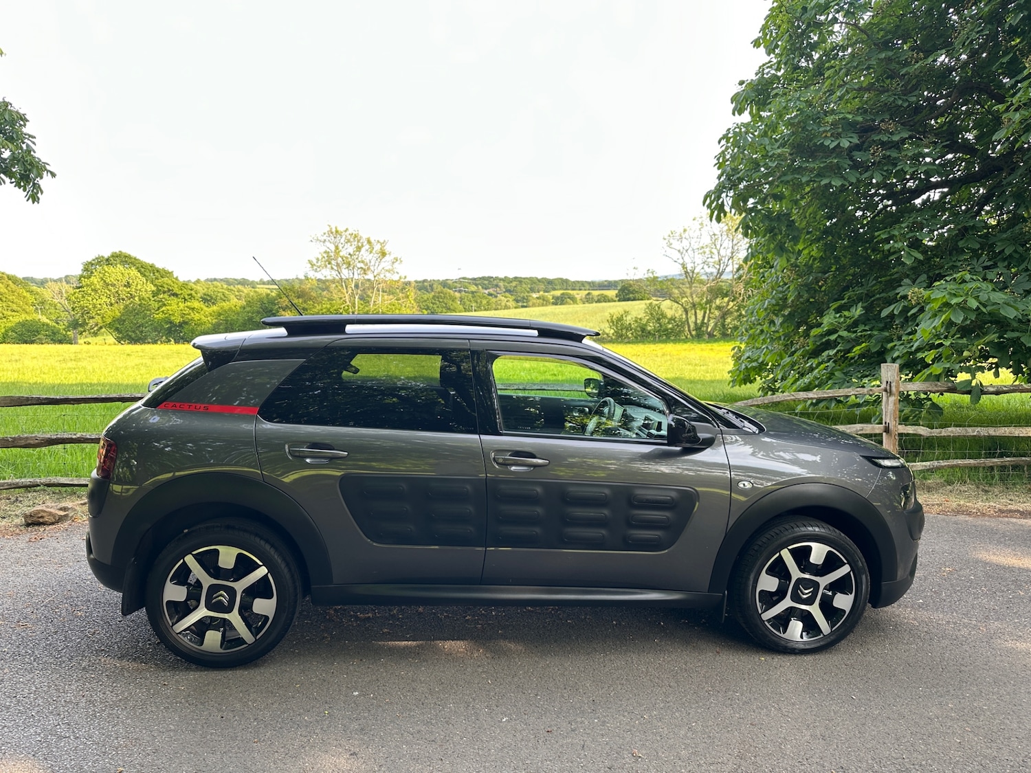 Used Citroen C4 Cactus 2018 for sale - 76615713: Photo 11