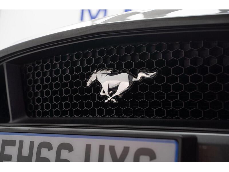 Used Ford Mustang 2017 for sale - 76659964: Photo 19