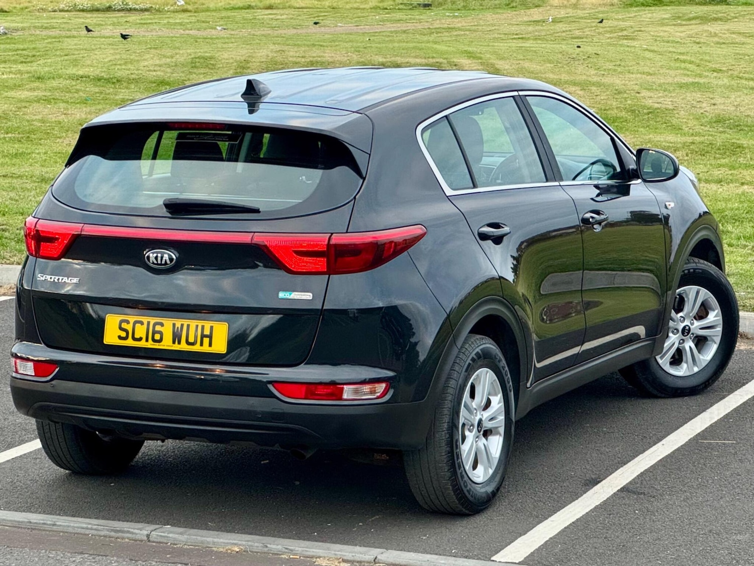 Used Kia Sportage 2016 for sale - 77633775: Photo 9