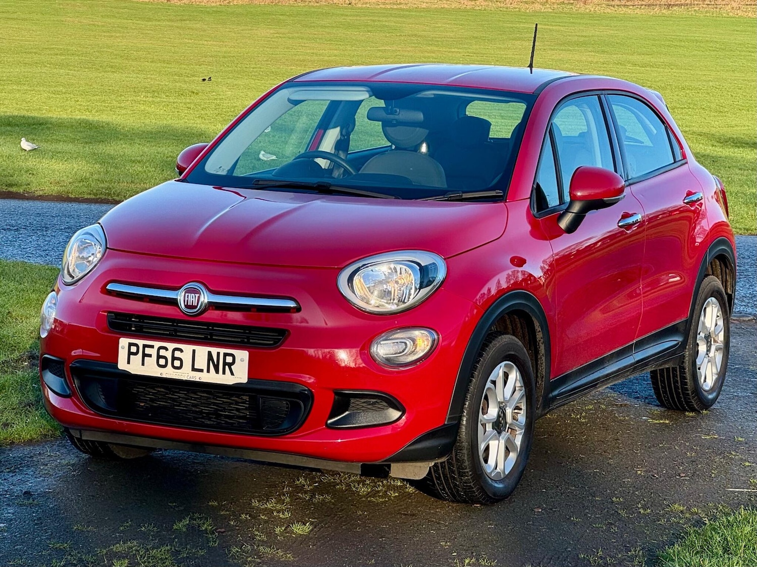 Used Fiat 500X 2016 for sale - 76926605: Photo 8