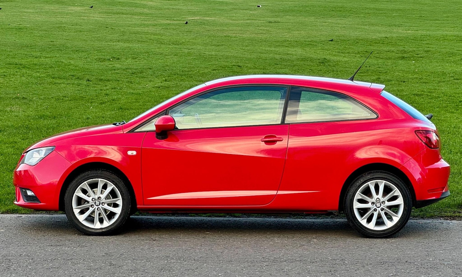 Used SEAT Ibiza 2014 for sale - 76840744: Photo 12