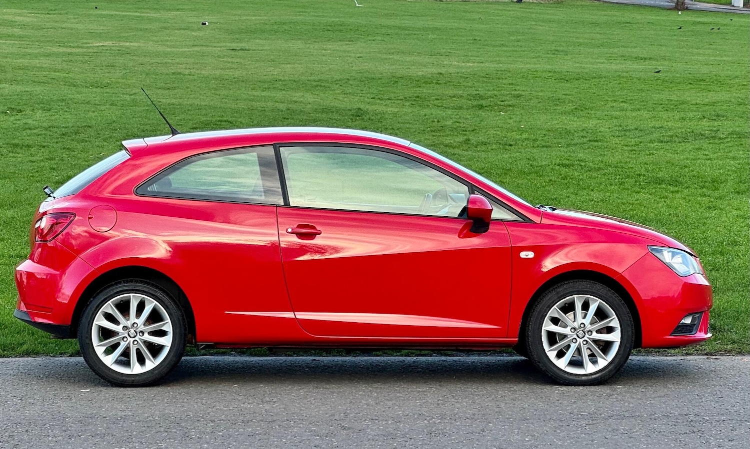 Used SEAT Ibiza 2014 for sale - 76840744: Photo 19