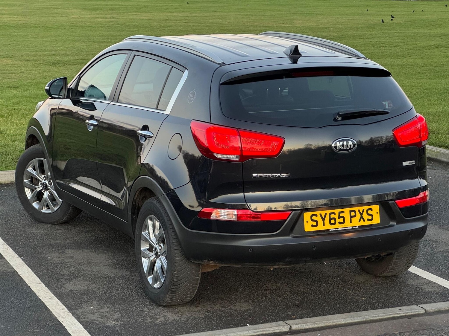 Used Kia Sportage 2015 for sale - 77066633: Photo 15