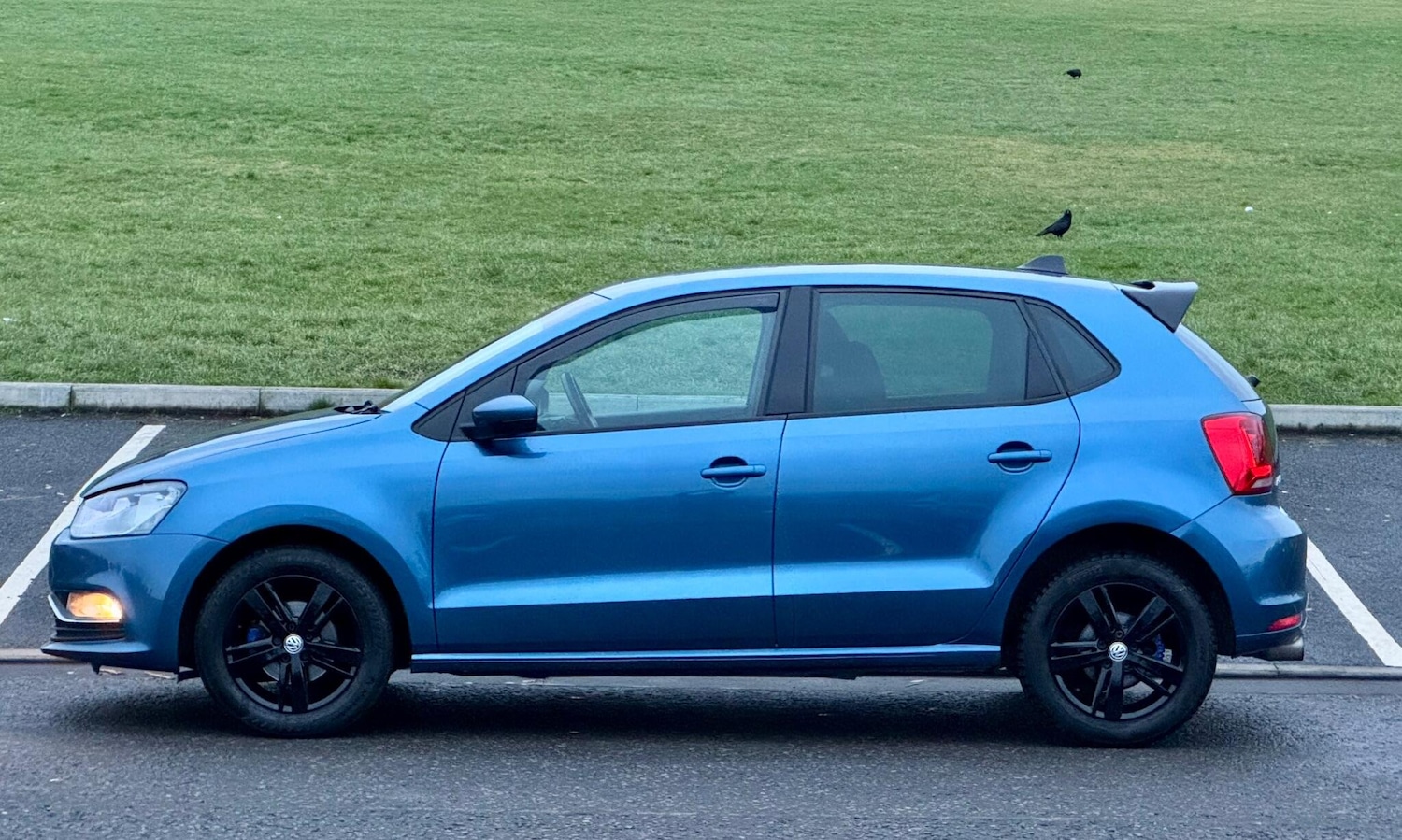 Used Volkswagen Polo 2016 for sale - 76839291: Photo 11