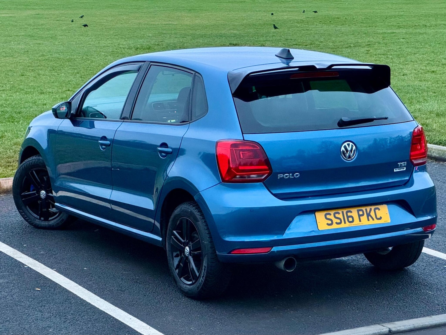 Used Volkswagen Polo 2016 for sale - 76839291: Photo 13