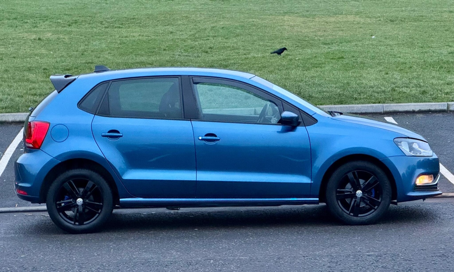 Used Volkswagen Polo 2016 for sale - 76839291: Photo 18