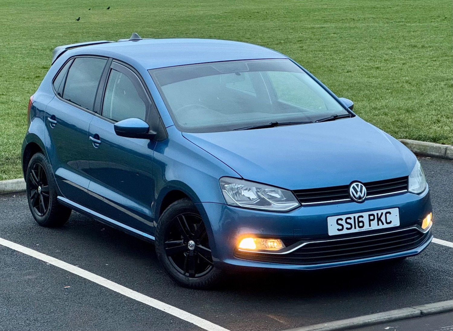 Used Volkswagen Polo 2016 for sale - 76839291: Photo 19