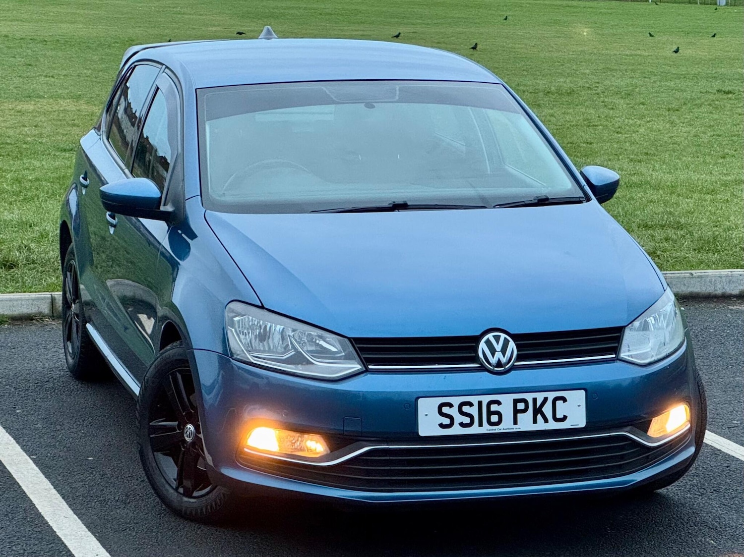 Used Volkswagen Polo 2016 for sale - 76839291: Photo 6