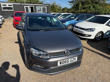 Used Volkswagen Polo 2016 for sale - 79471771: Photo