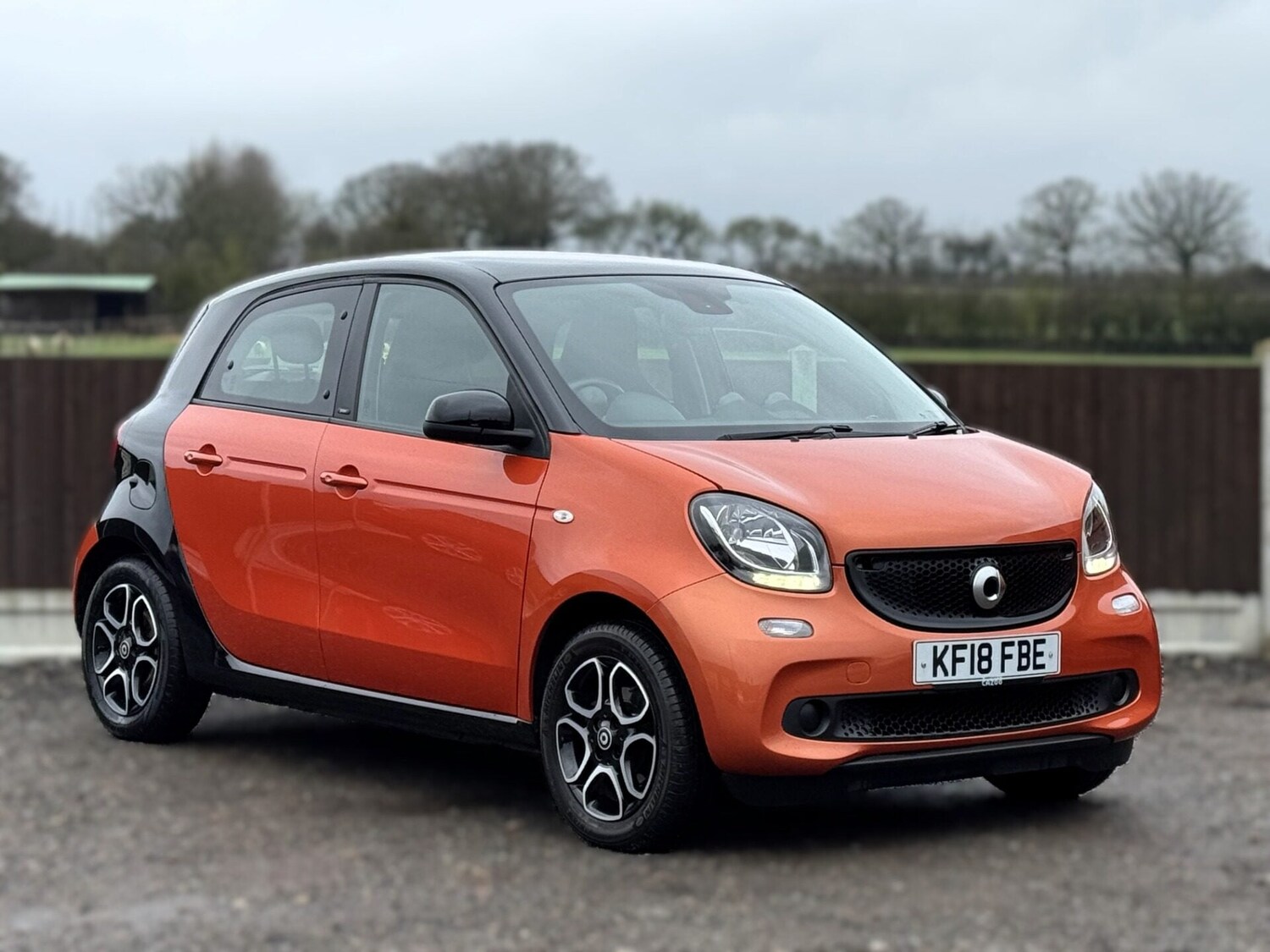 Used smart forfour 2018 for sale - 77961819: Photo 10