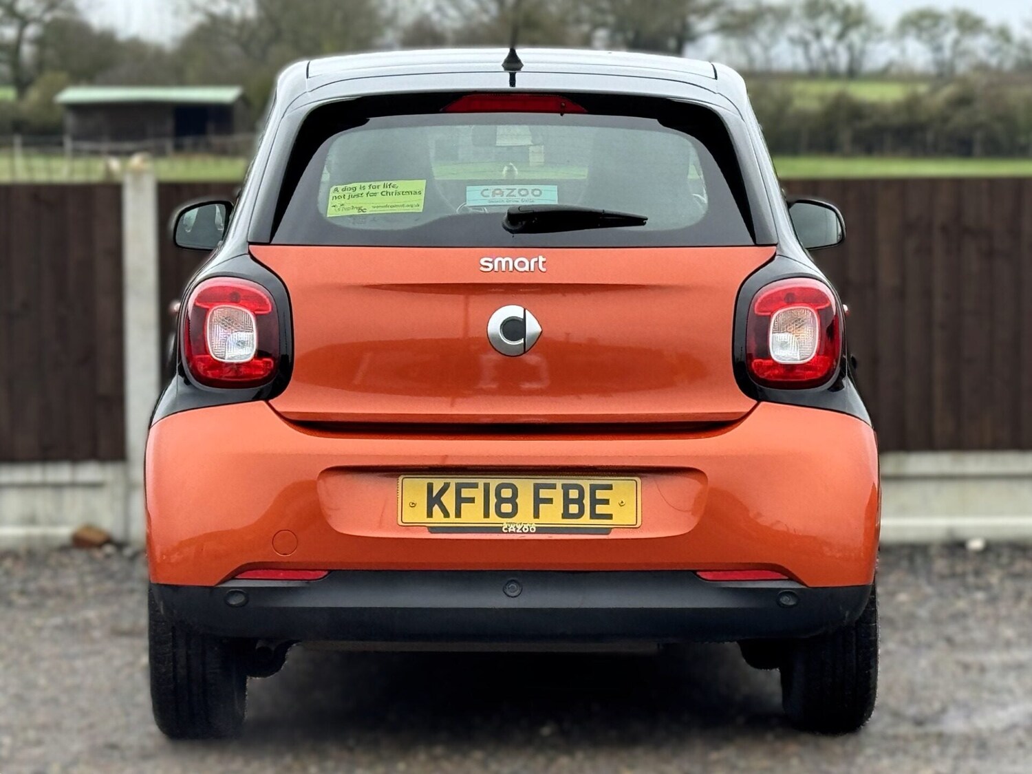 Used smart forfour 2018 for sale - 77961819: Photo 5