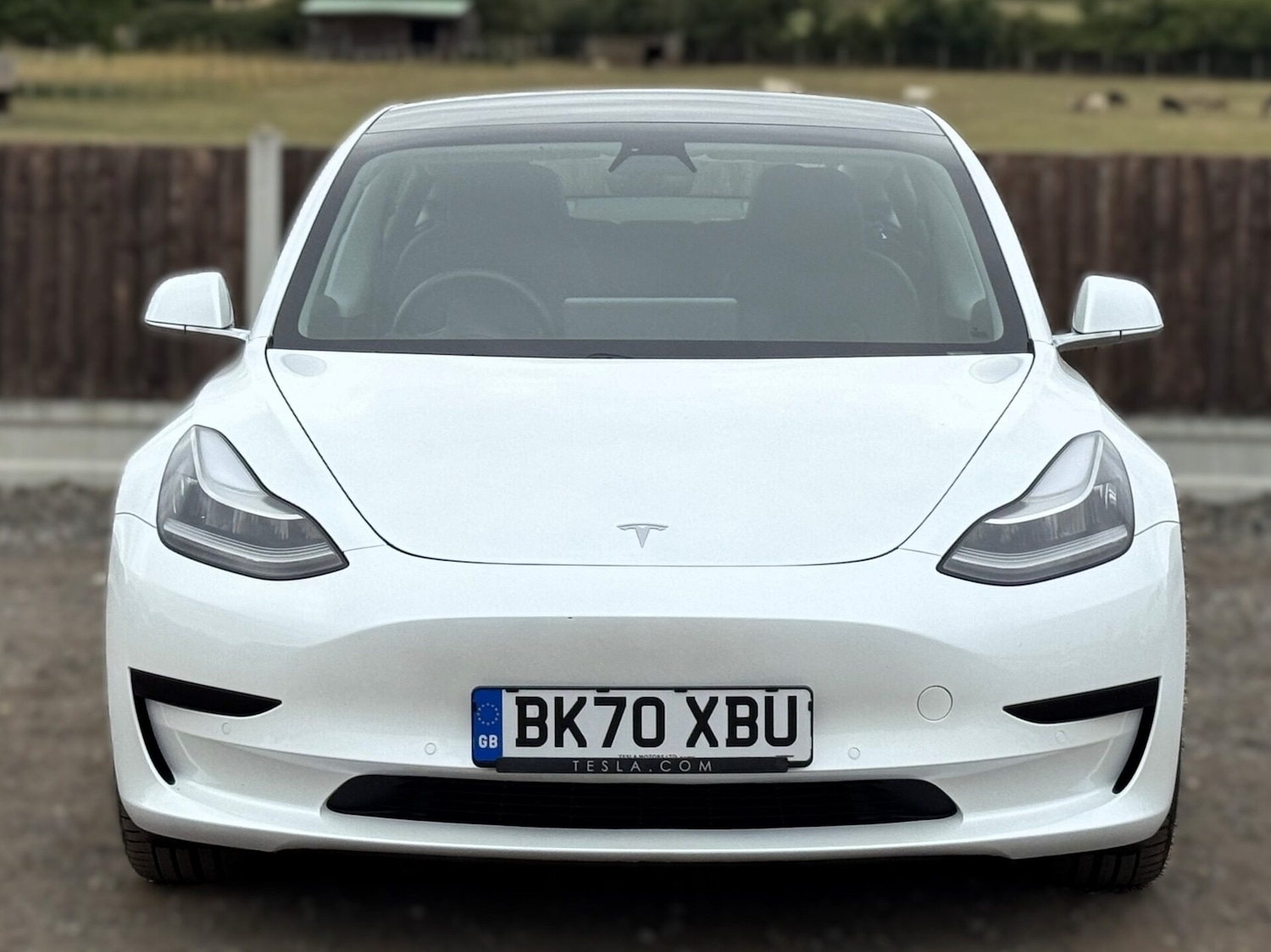 Used Tesla Model 3 2020 for sale - 77620727: Photo 10