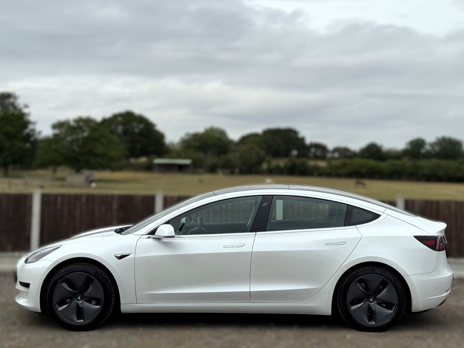 Used Tesla Model 3 2020 for sale - 77620727: Photo 3