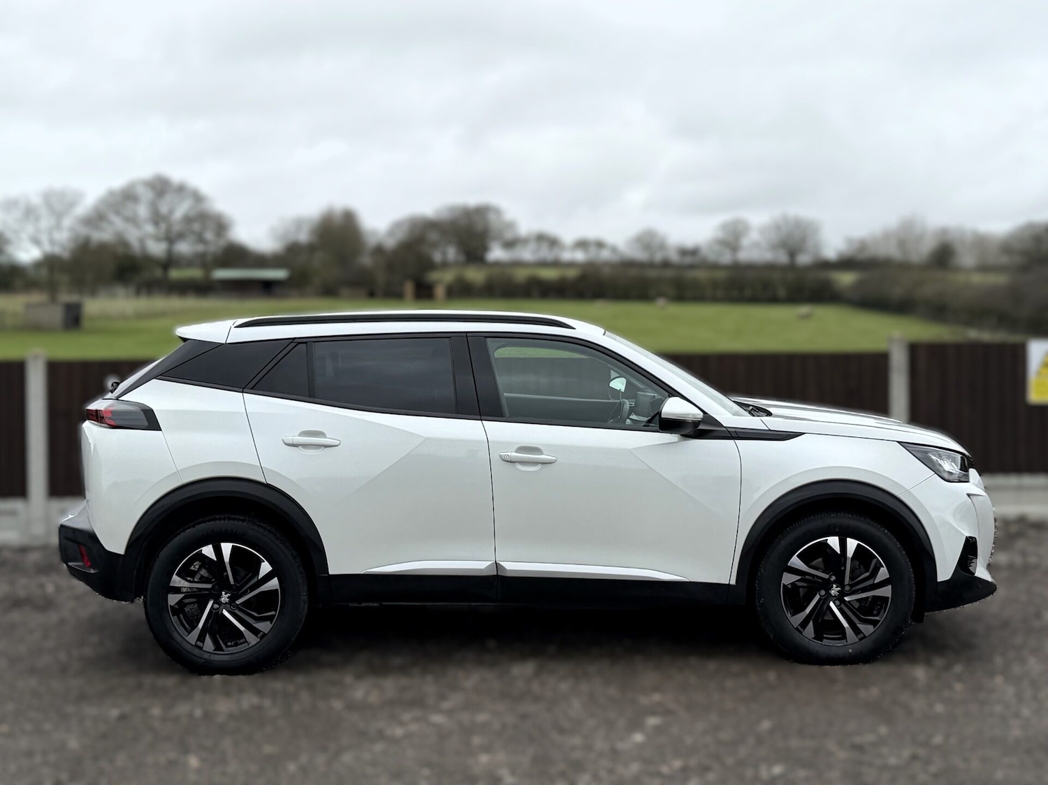 Used Peugeot 2008 2020 for sale - 77392655: Photo 8