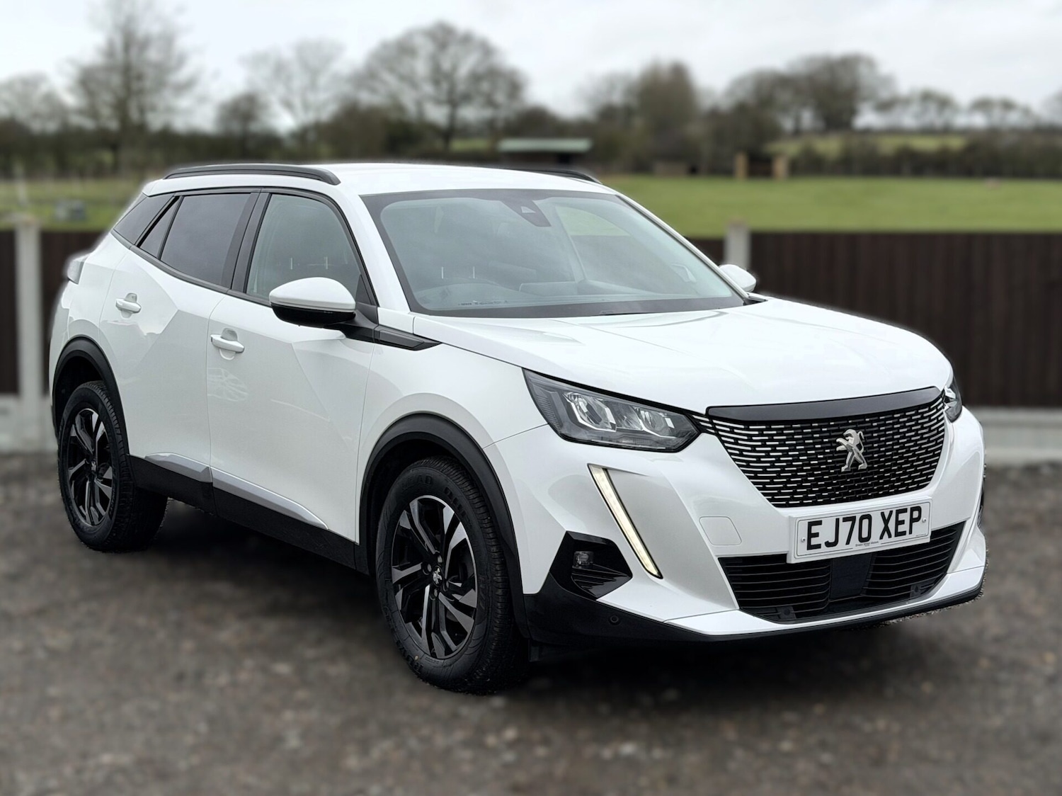 Used Peugeot 2008 2020 for sale - 77392655: Photo 9