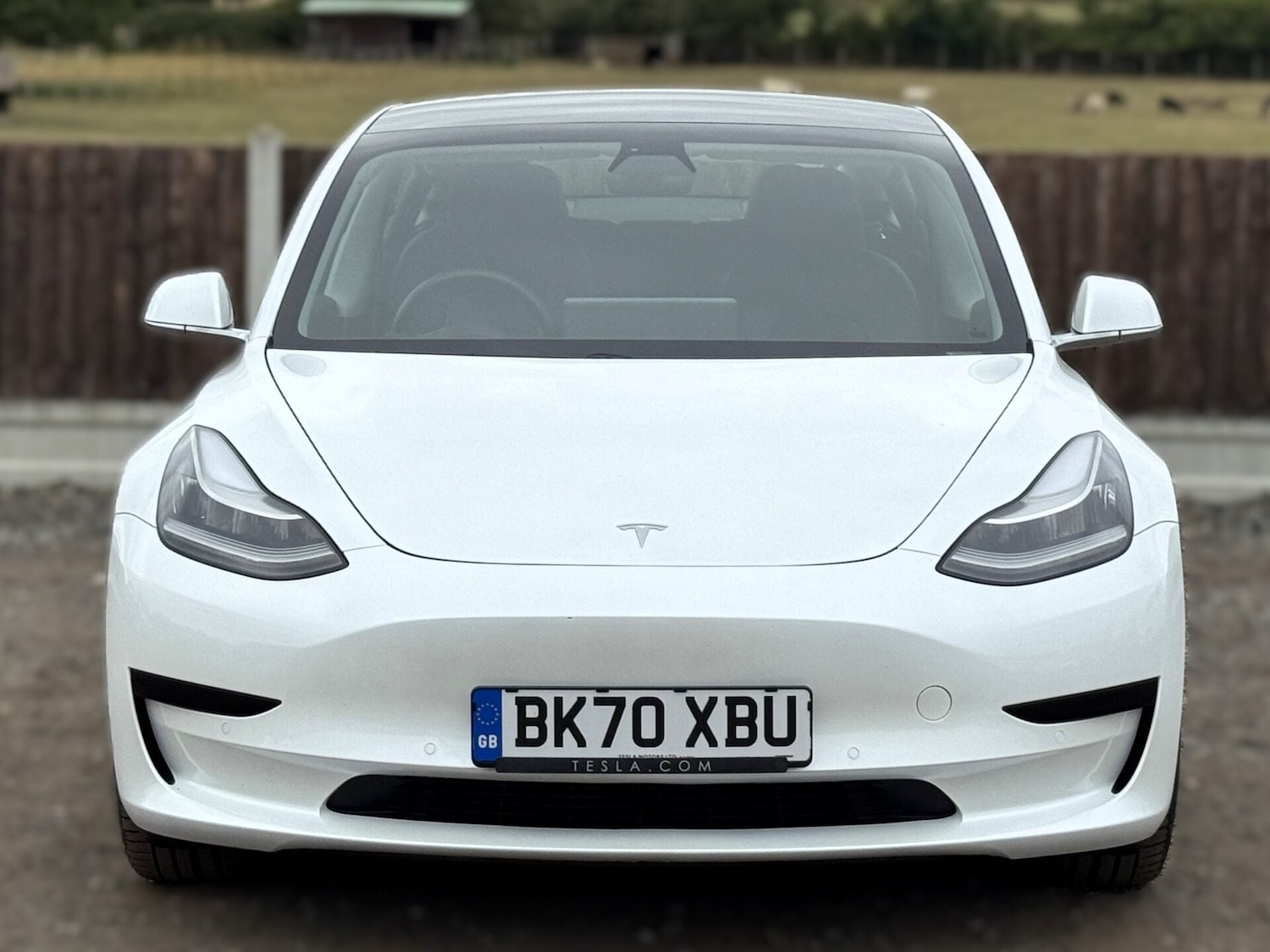 Used Tesla Model 3 2020 for sale - 78148421: Photo 10