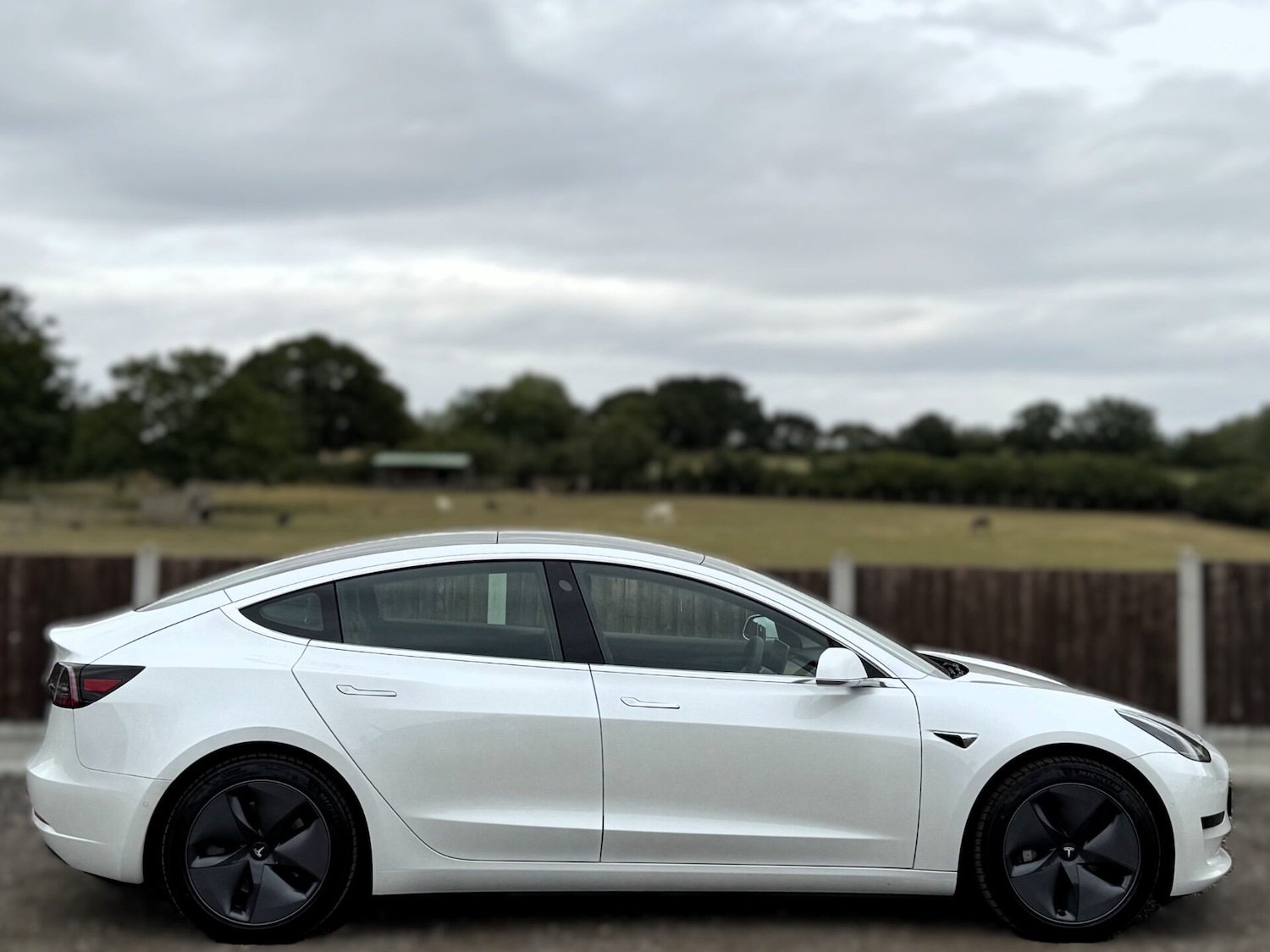 Used Tesla Model 3 2020 for sale - 78148421: Photo 8