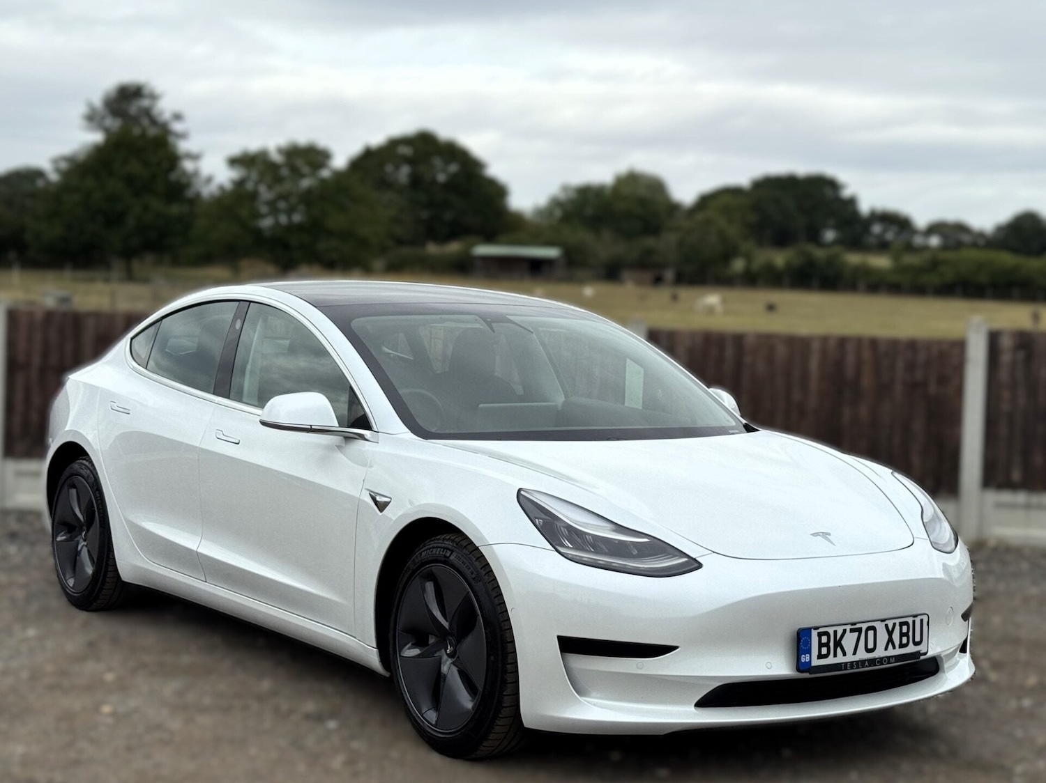 Used Tesla Model 3 2020 for sale - 78148421: Photo 9