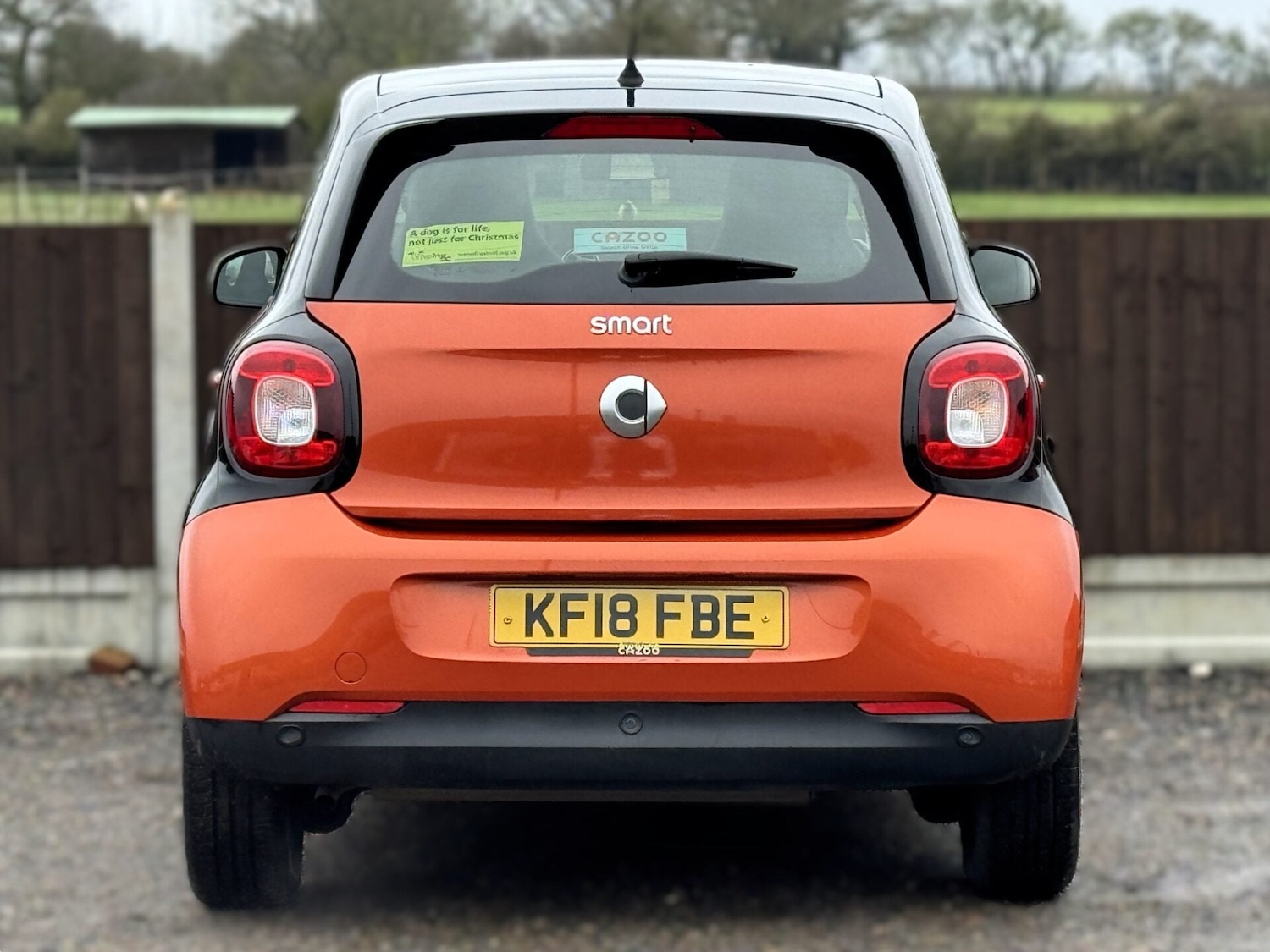 Used smart forfour 2018 for sale - 78139487: Photo 5