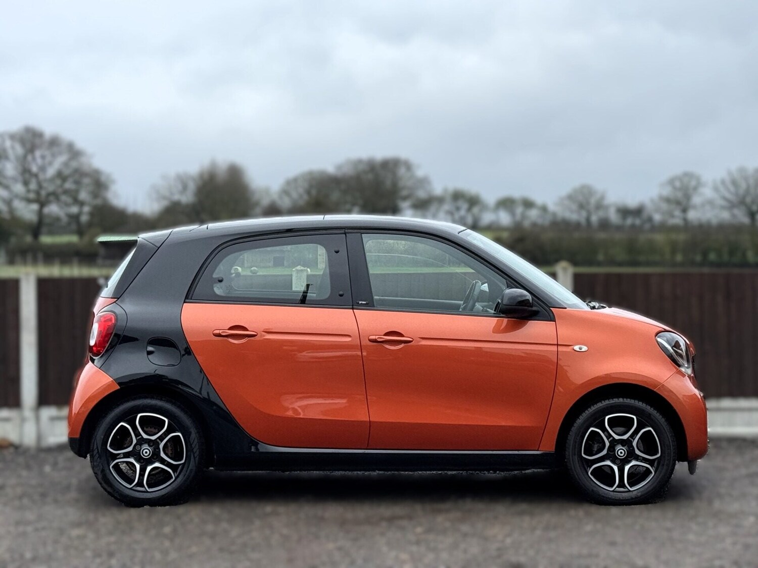 Used smart forfour 2018 for sale - 78139487: Photo 9