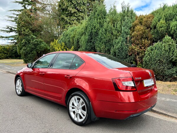 Used Skoda Octavia 2017 for sale - 75492305: Photo 7