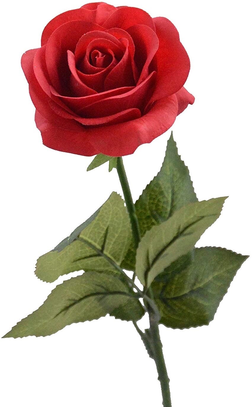 Used Audi A4 2015 for sale - 77747069: Photo 8