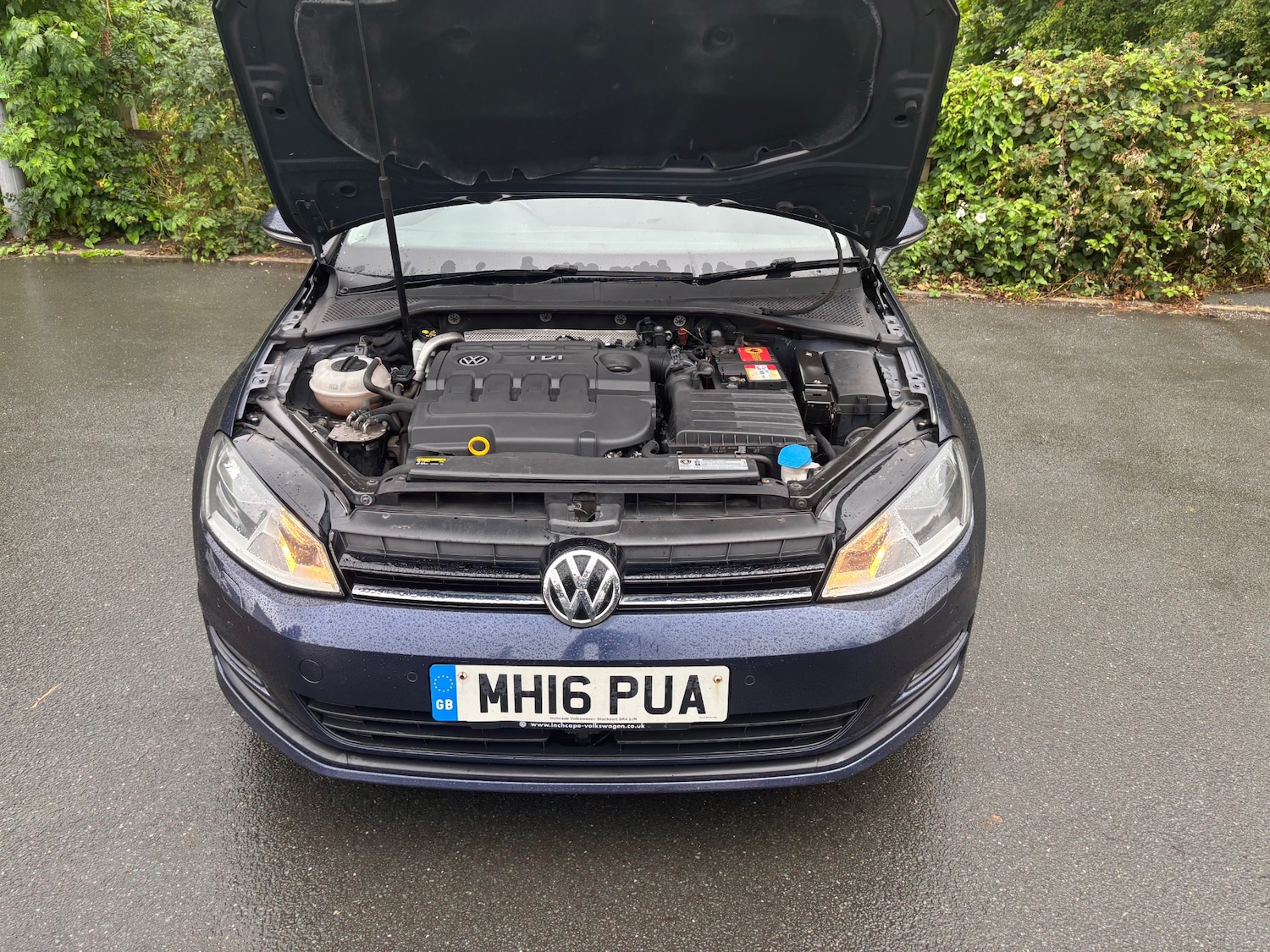 Used Volkswagen Golf 2016 for sale - 77070844: Photo 15