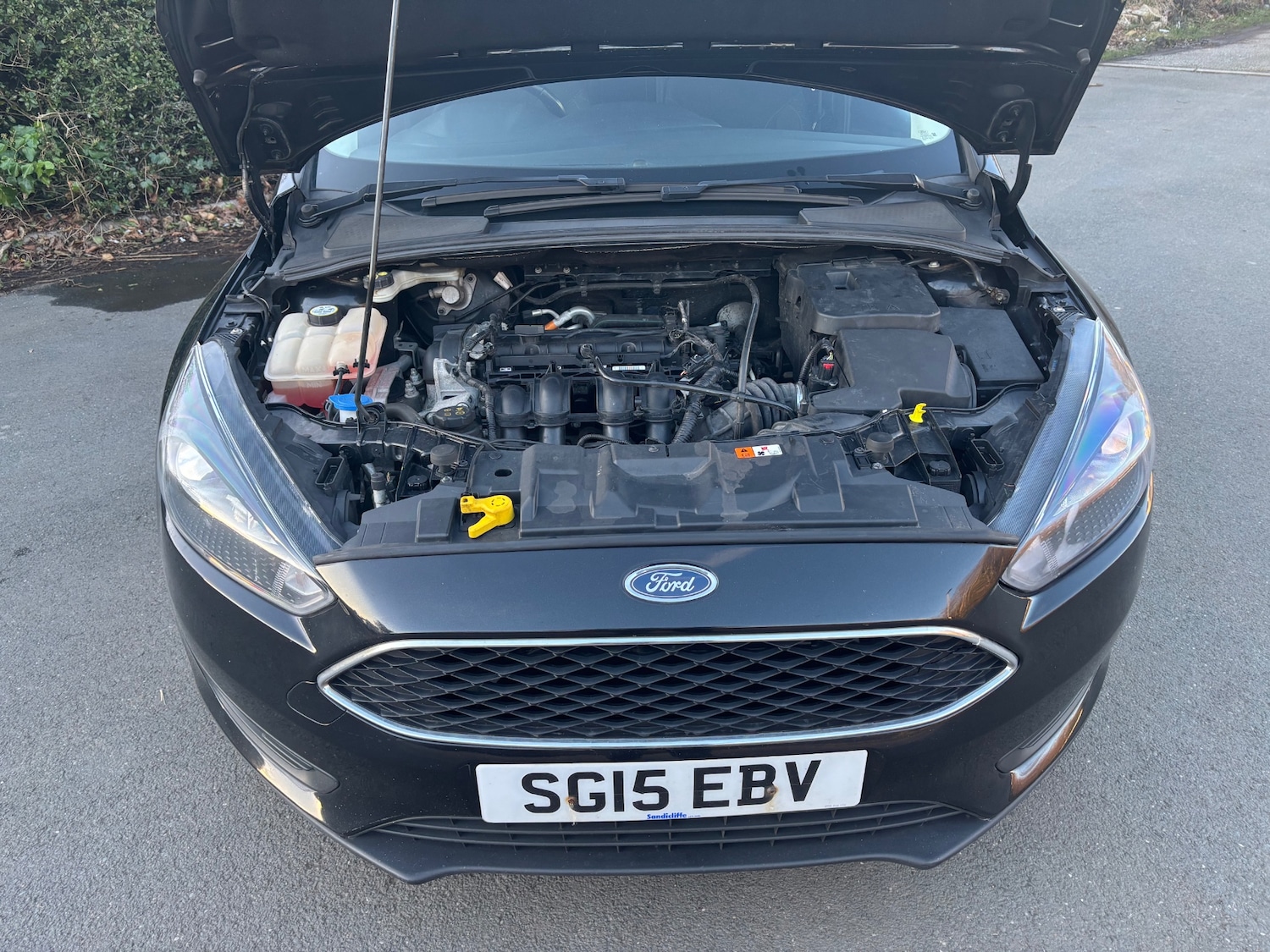 Used Ford Focus 2015 for sale - 76670078: Photo 11