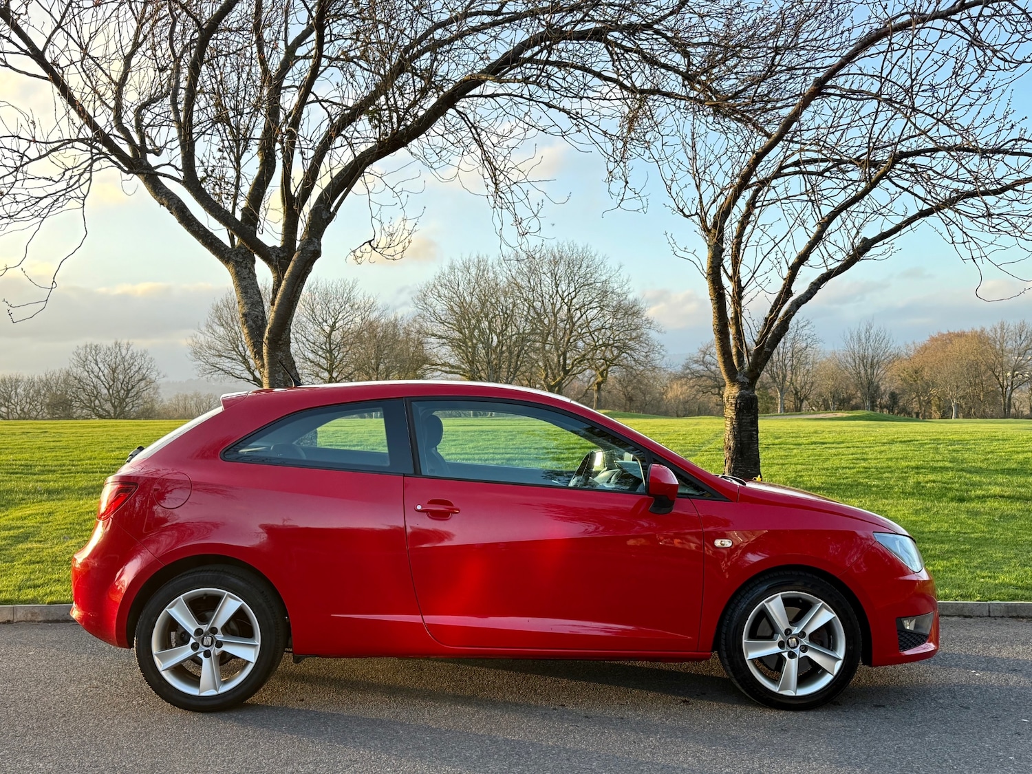 Used SEAT Ibiza 2014 for sale - 77878387: Photo 12