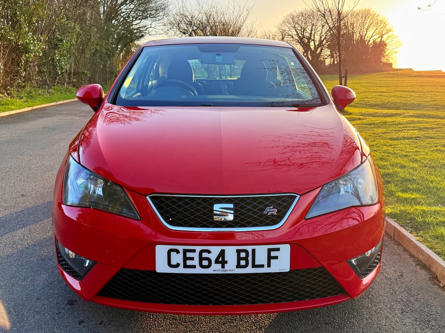 Used SEAT Ibiza 2014 for sale - 77878387: Photo 6