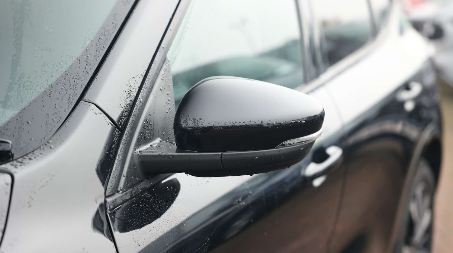 Used Ford Kuga 2022 for sale - 77256374: Photo 13