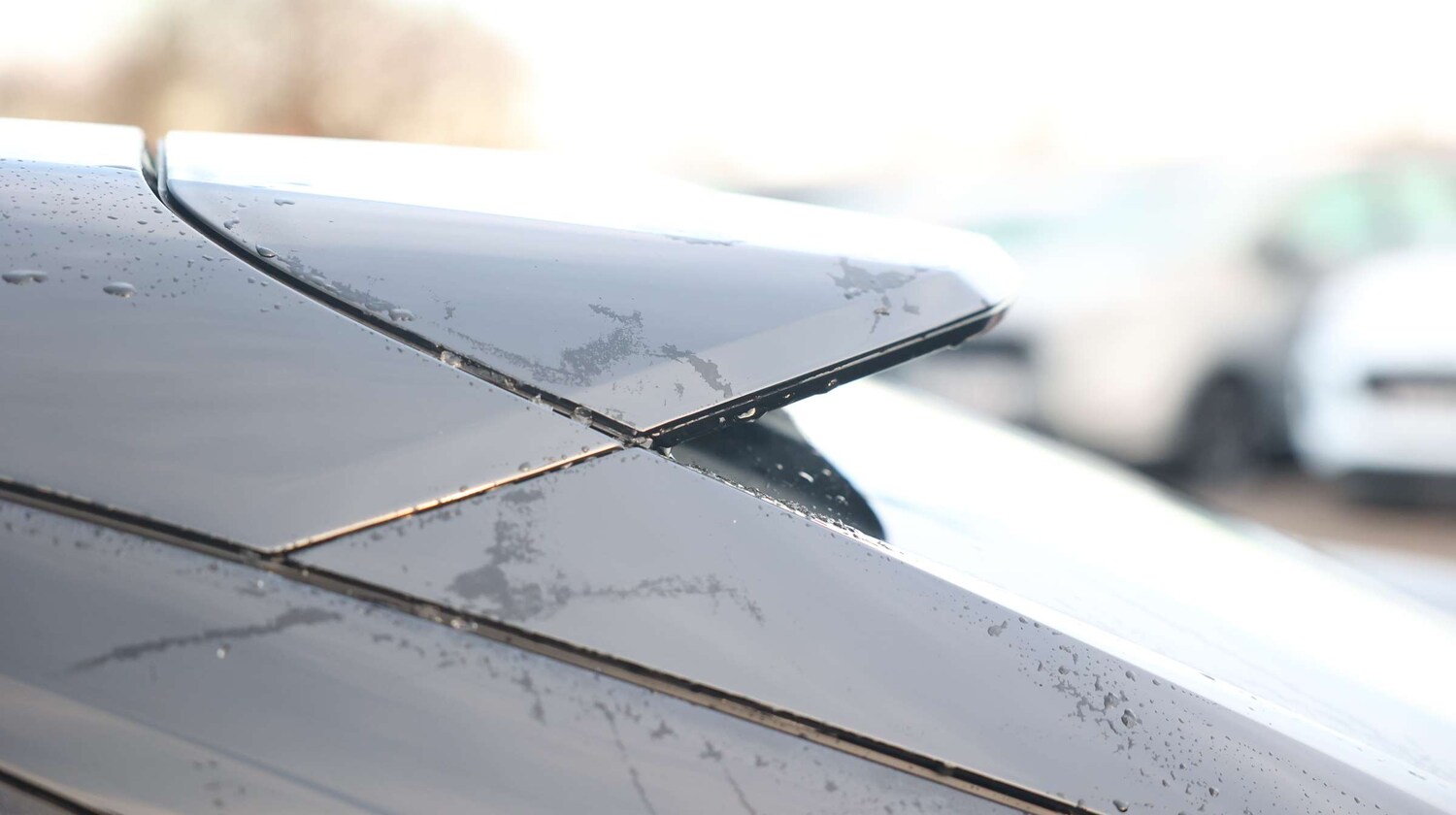 Used BYD Sealion 7 2025 for sale - 78128941: Photo 13