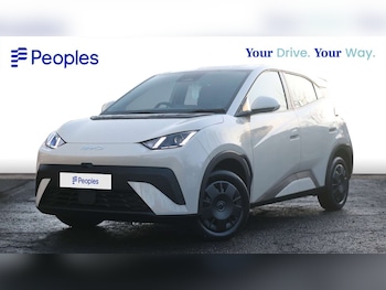 Used BYD Dolphin 2025 for sale - 77005279: Photo