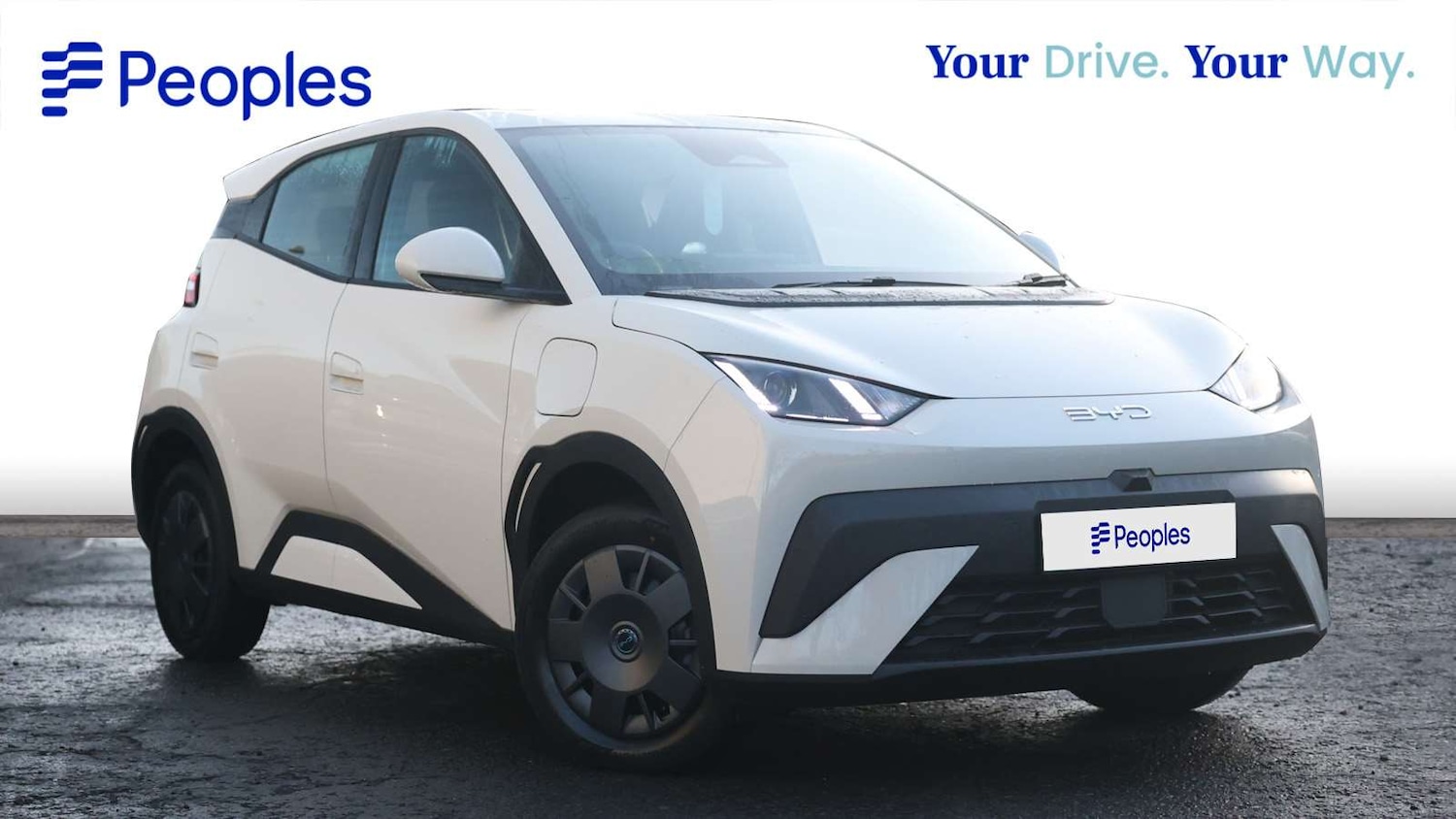 Used BYD Dolphin 2025 for sale - 77005279: Photo 3