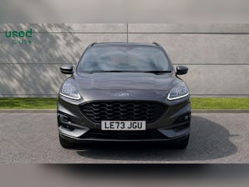 Used Ford Kuga 2023 for sale - 79431447: Photo