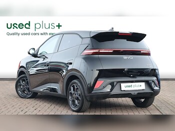 Used BYD Dolphin 2025 for sale - 77942054: Photo