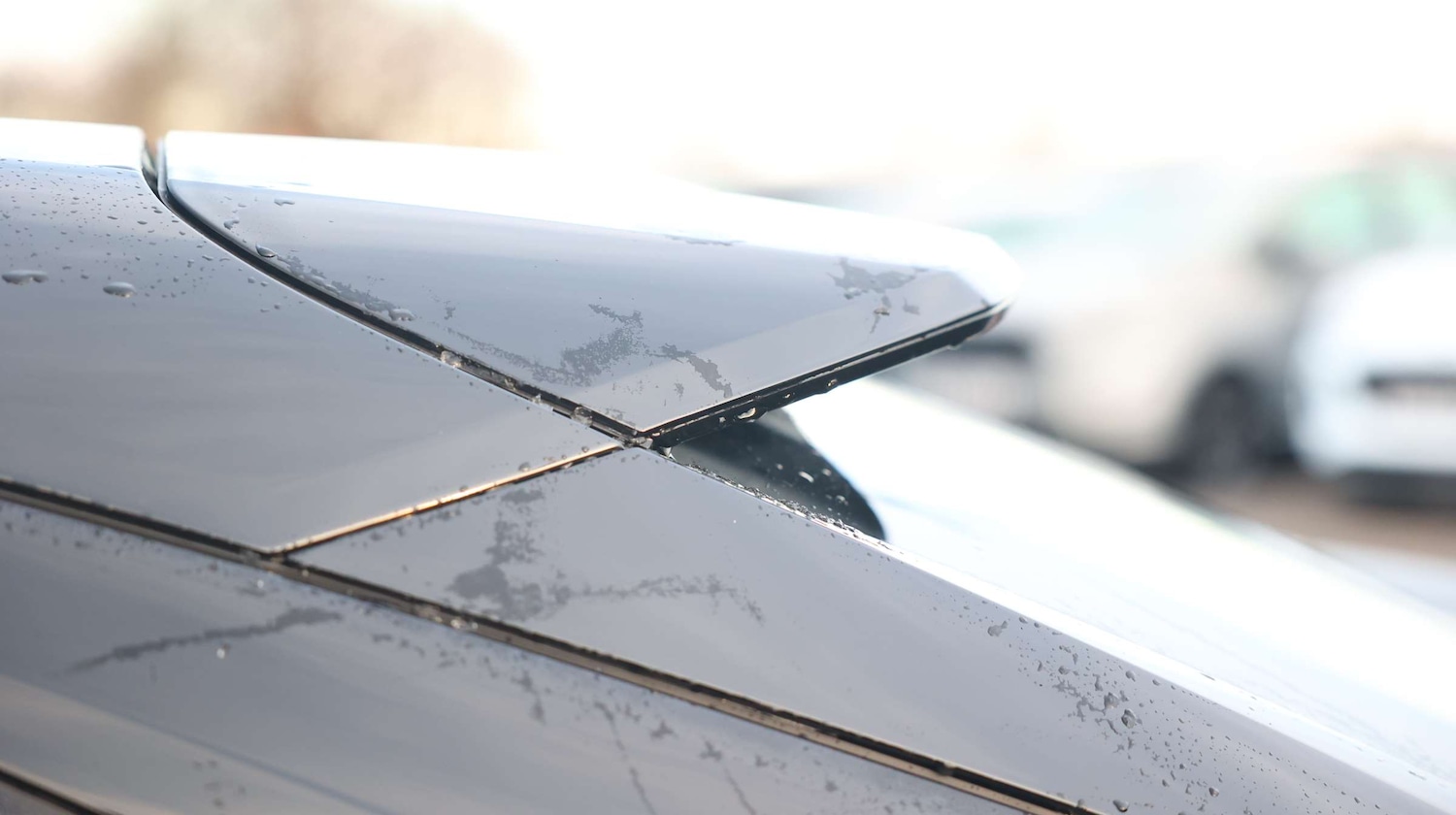 Used BYD Sealion 7 2025 for sale - 77035848: Photo 13