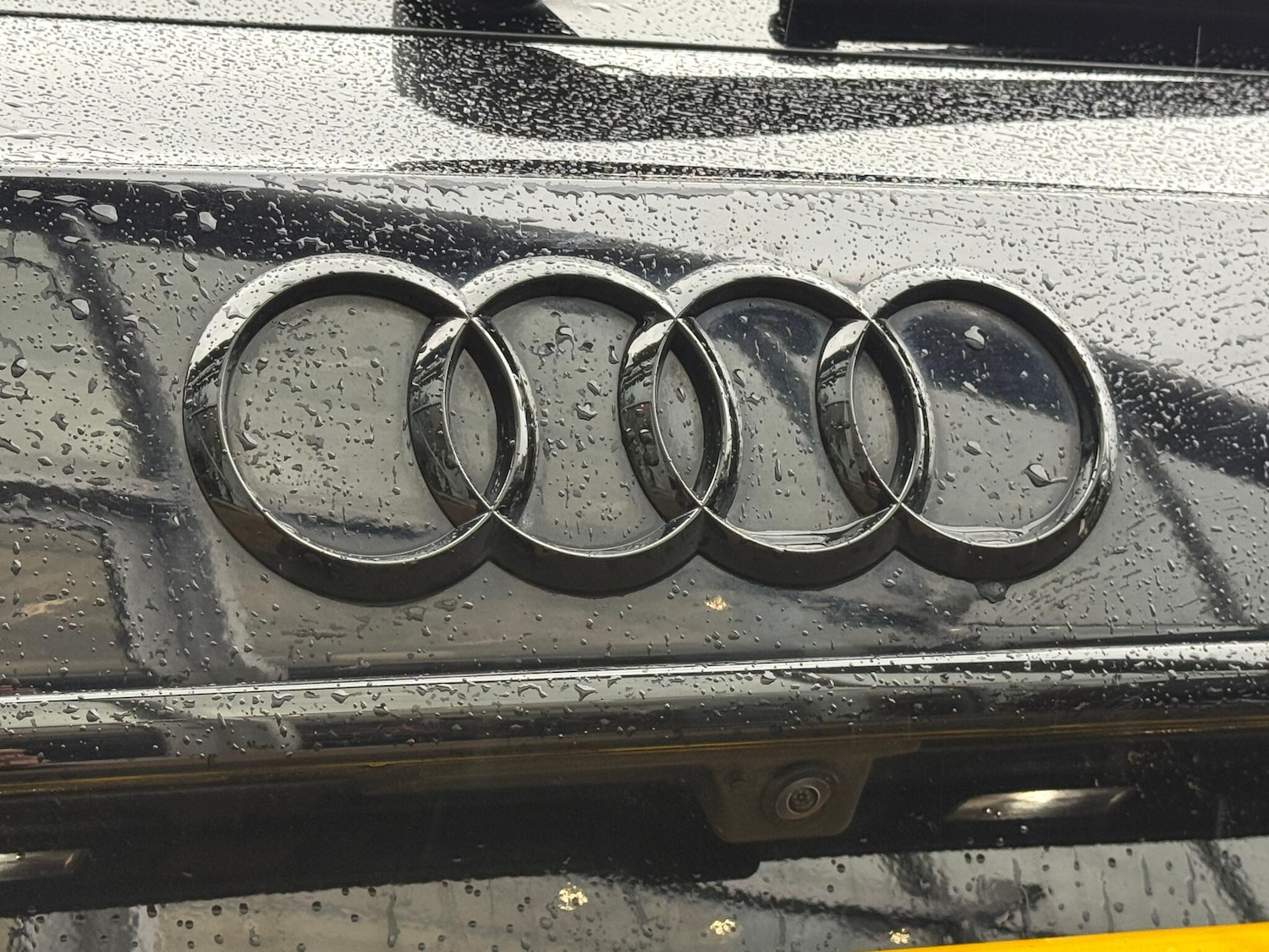 Used Audi RS4 2023 for sale - 76926878: Photo 26