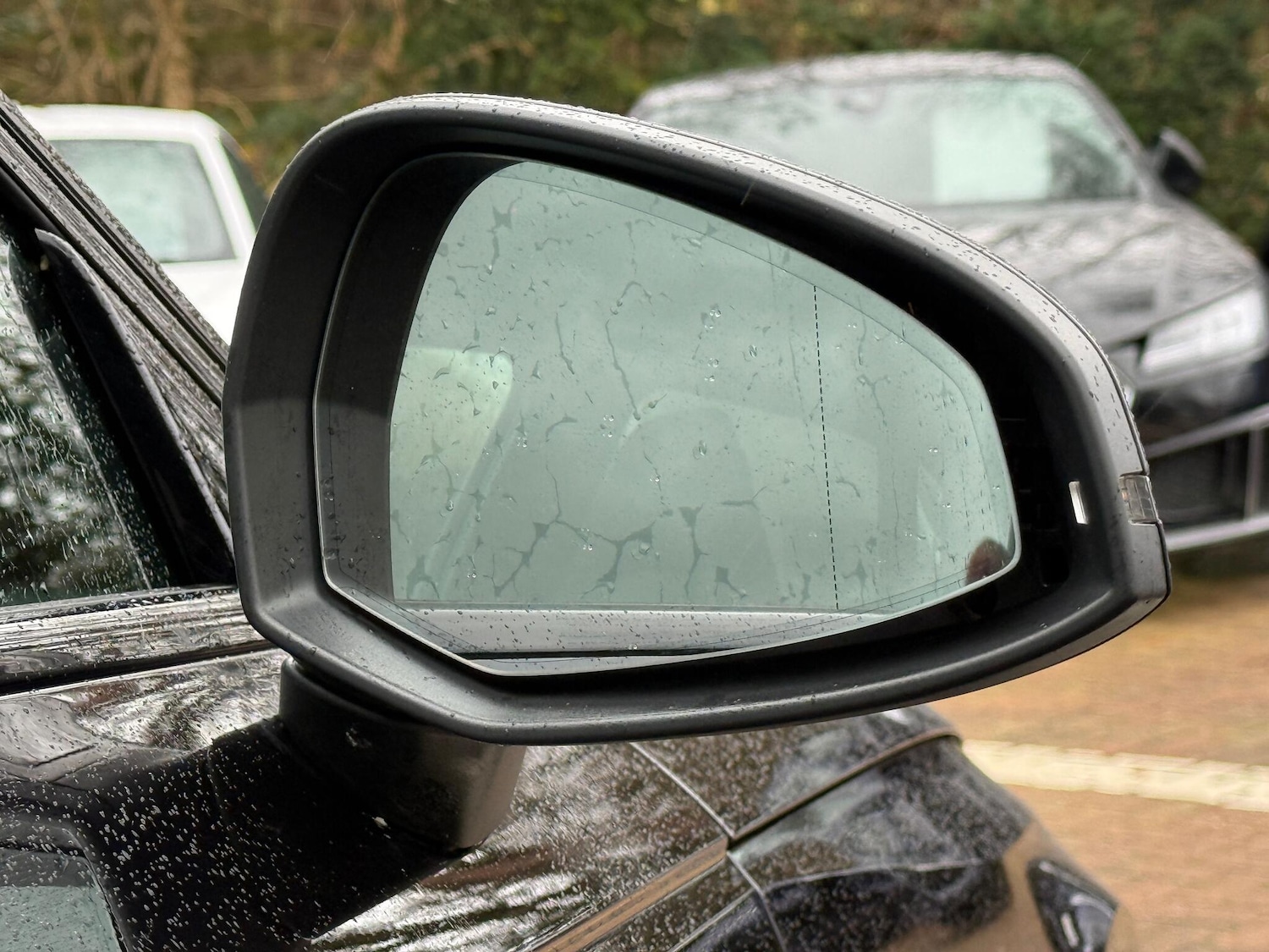 Used Audi RS4 2023 for sale - 76926878: Photo 61