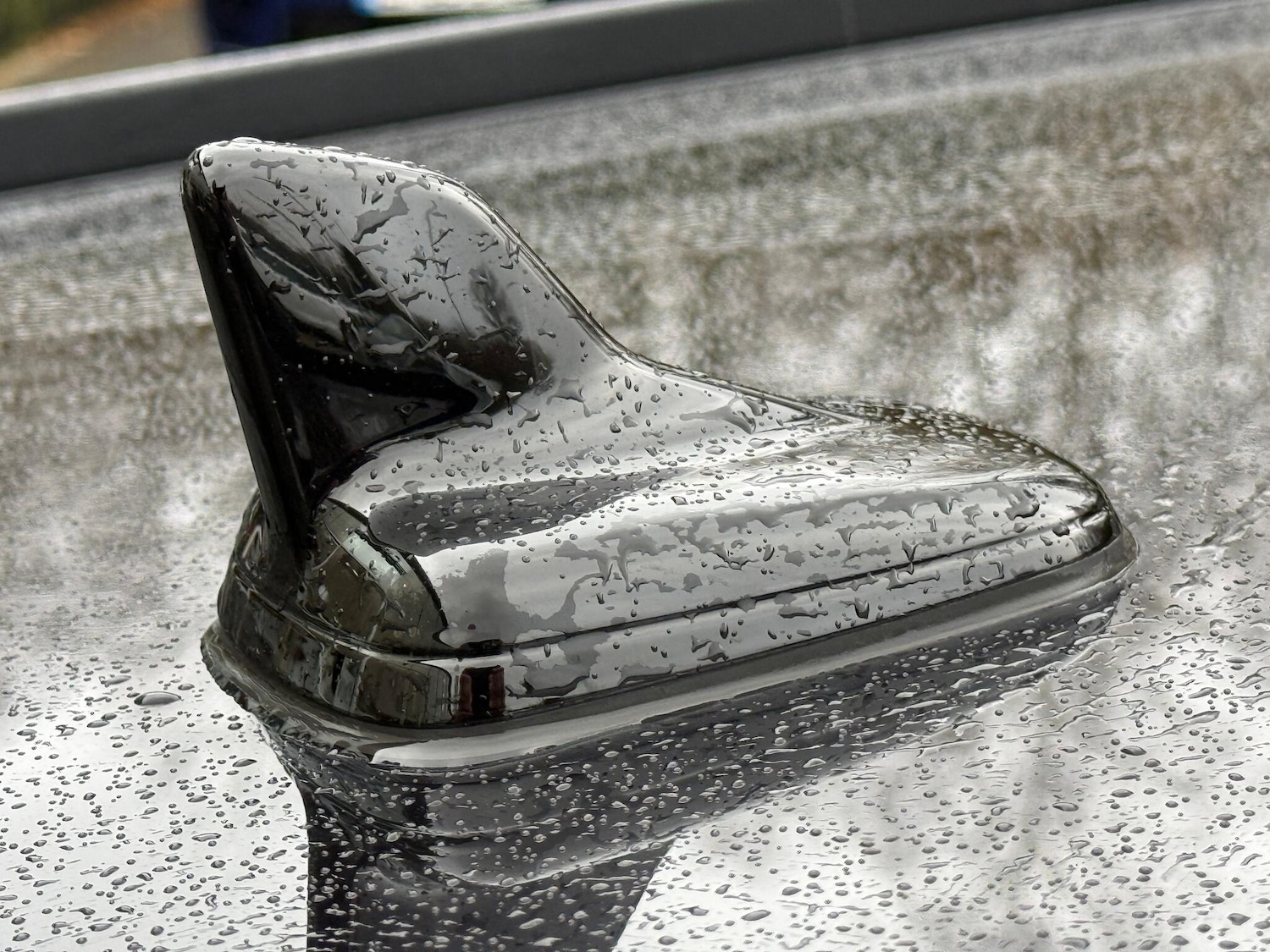 Used Audi RS4 2023 for sale - 76926878: Photo 66