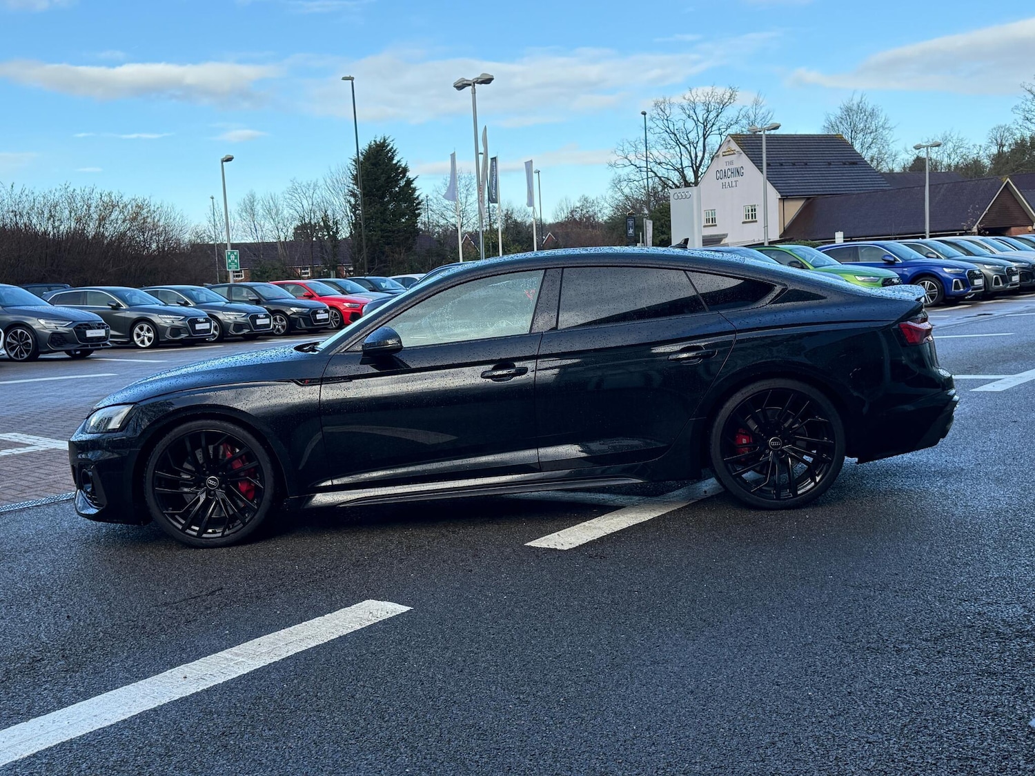 Used Audi RS5 2023 for sale - 77230151: Photo 15