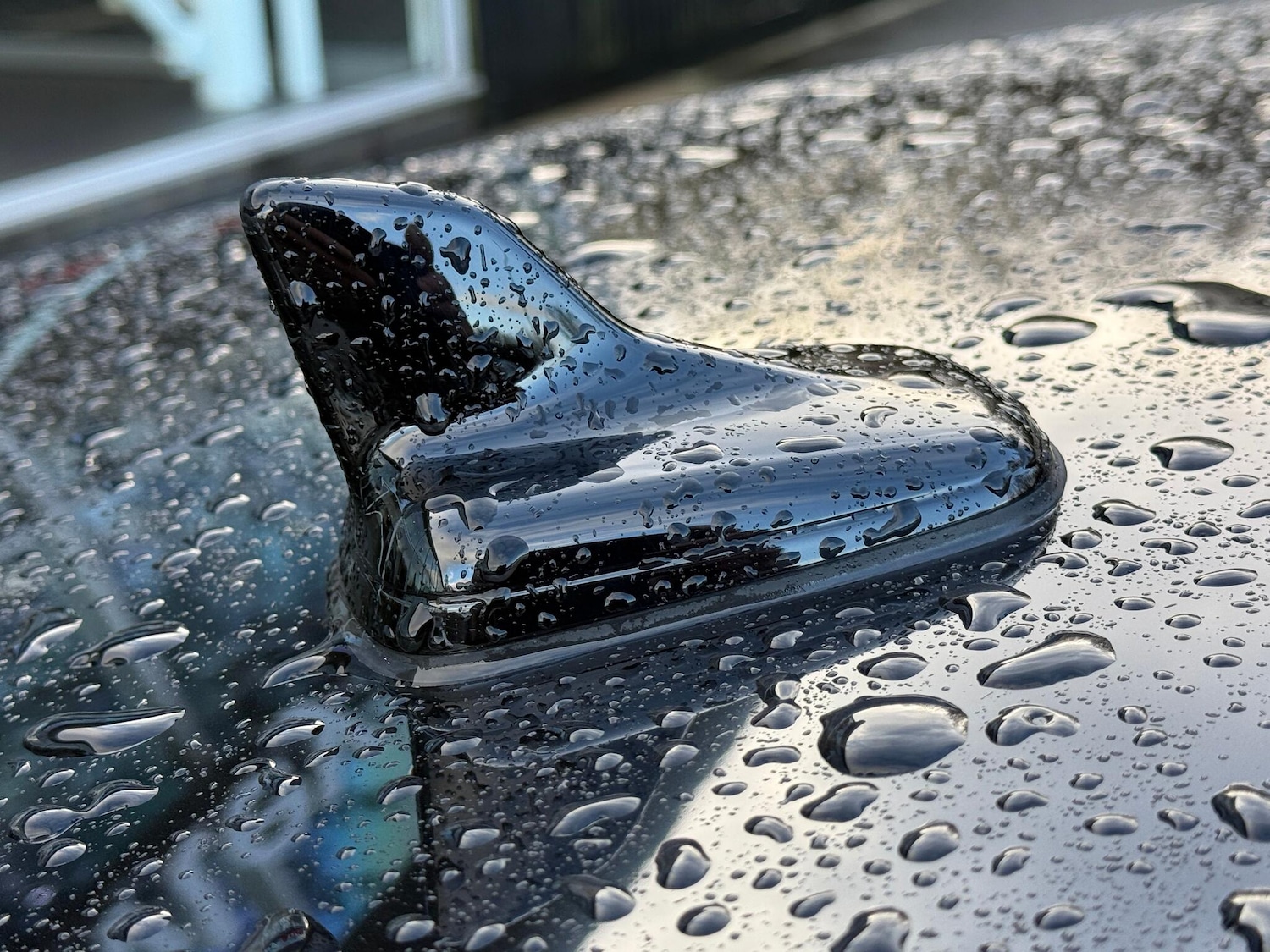 Used Audi RS5 2023 for sale - 77230151: Photo 60