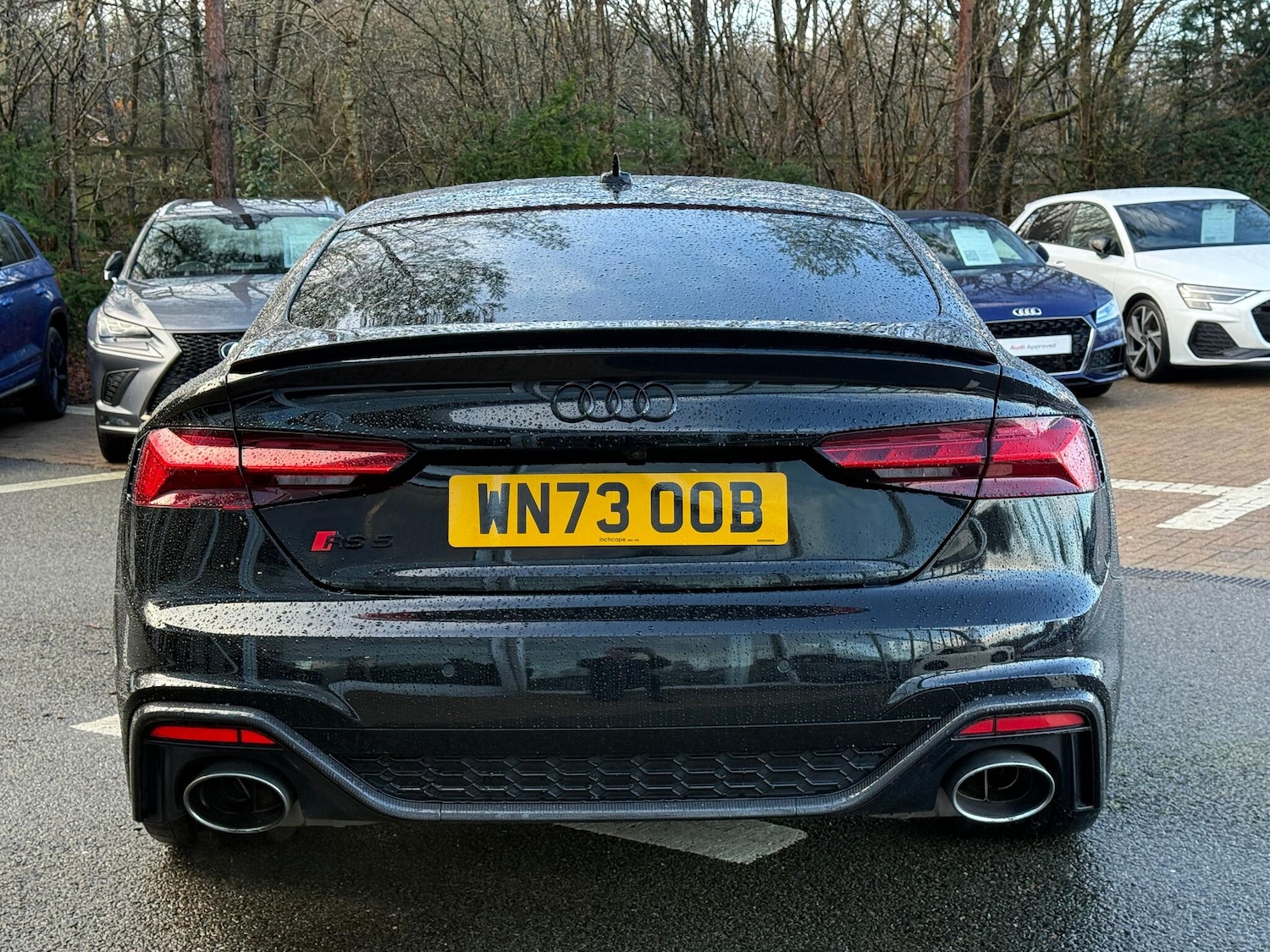 Used Audi RS5 2023 for sale - 77230151: Photo 9