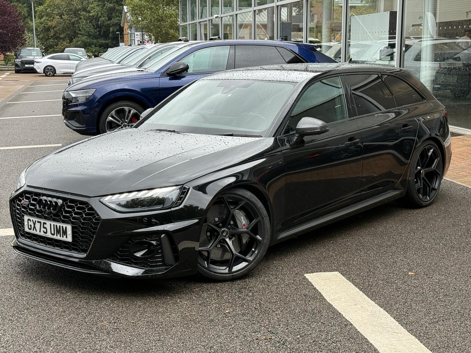 Used Audi RS4 2025 for sale - 77039910: Photo 15