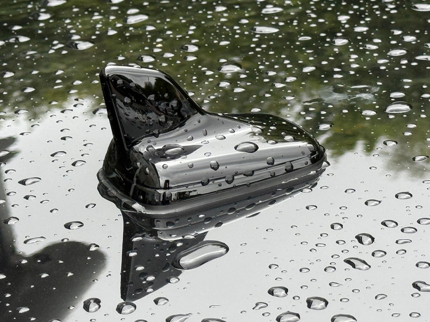 Used Audi RS4 2025 for sale - 77039910: Photo 49