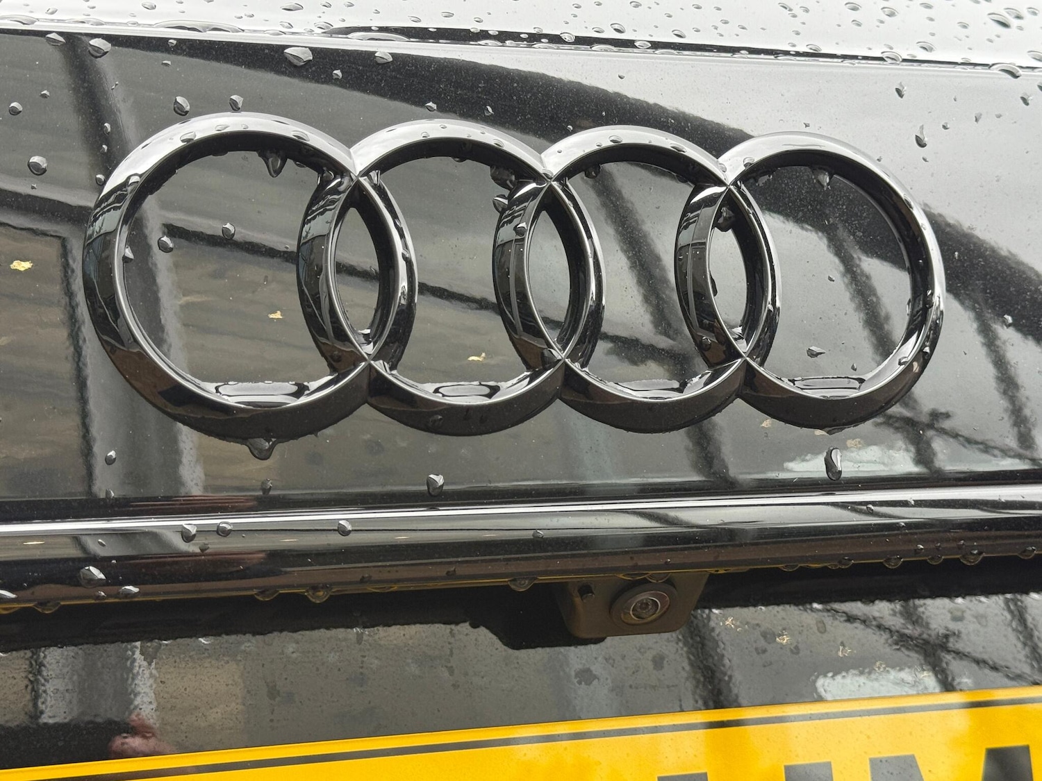 Used Audi RS4 2025 for sale - 77039910: Photo 55