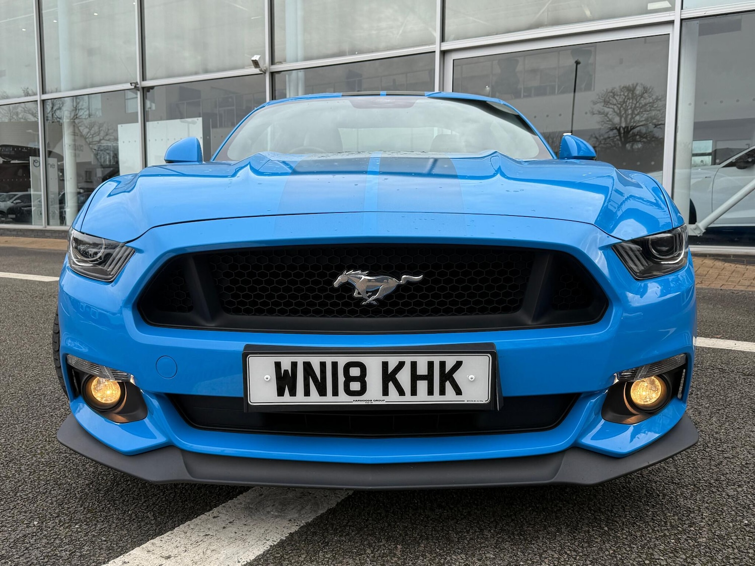 Used Ford Mustang 2018 for sale - 77625717: Photo 46