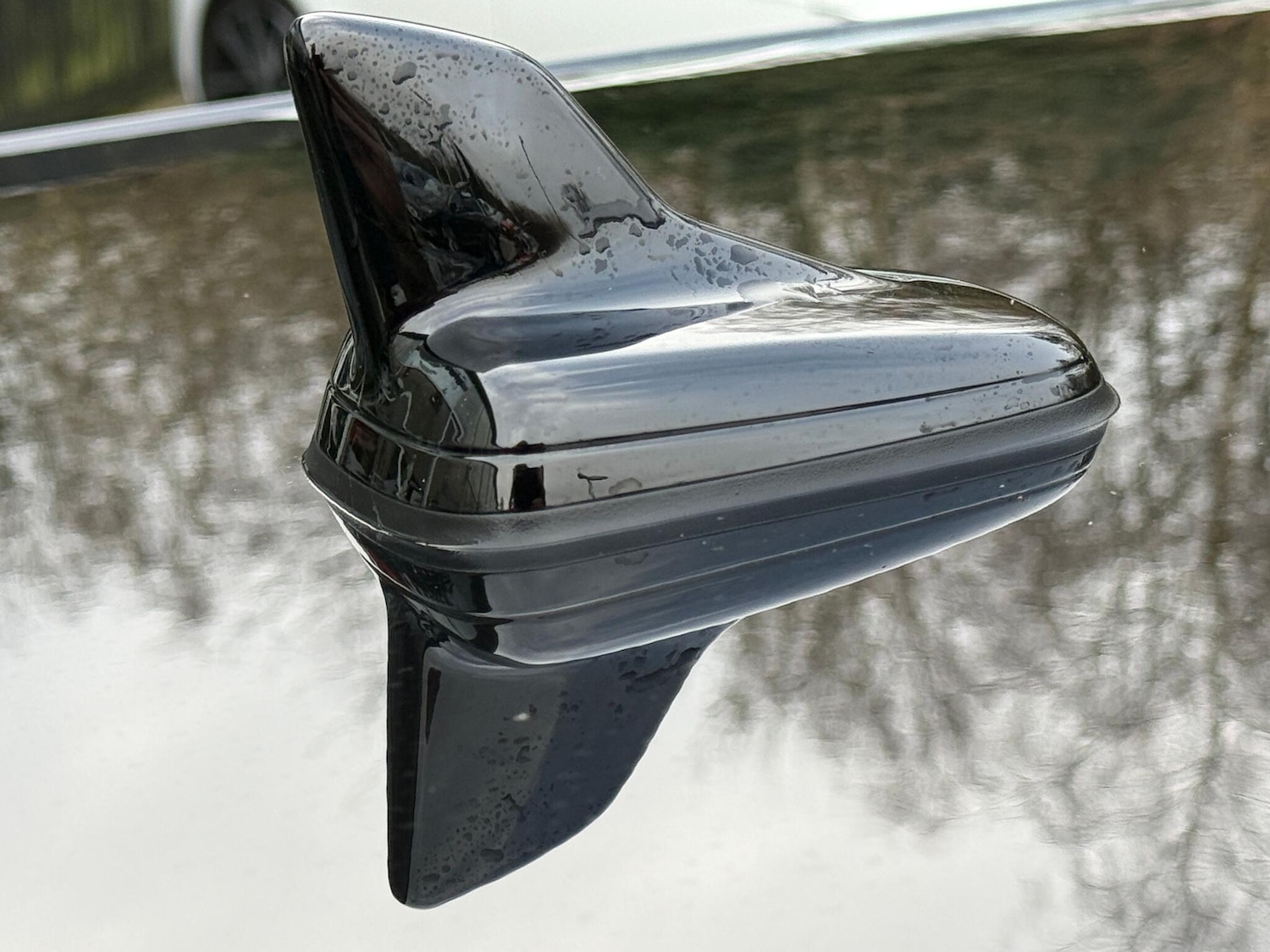 Used Audi RS3 2025 for sale - 77029082: Photo 59