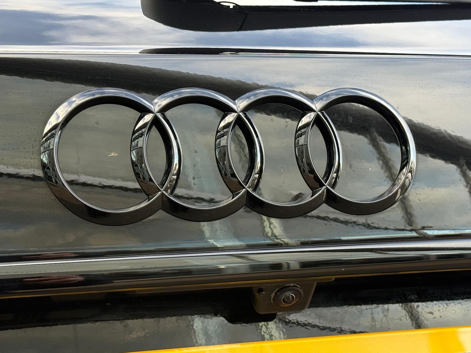 Used Audi RS4 2025 for sale - 77119965: Photo 66